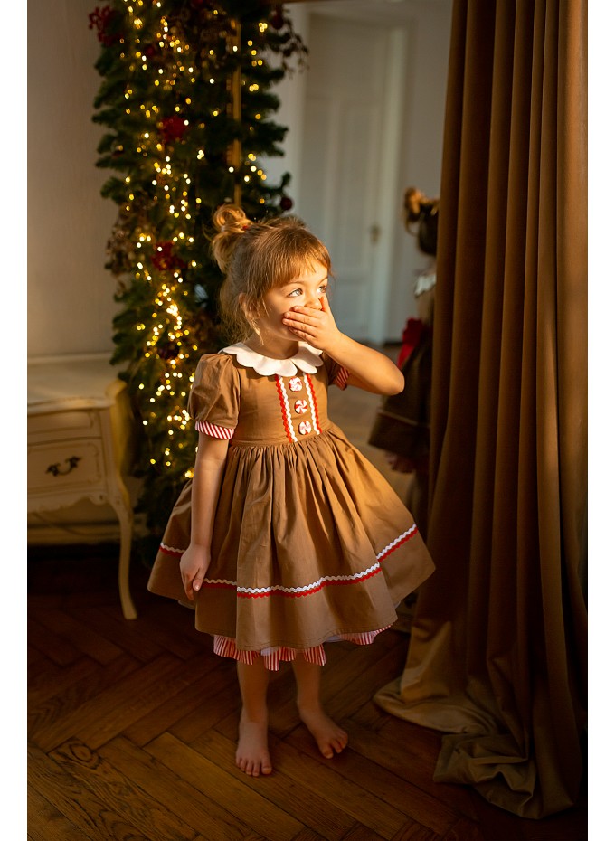 Gingerbread Christmas dress